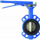Butterfly Valves